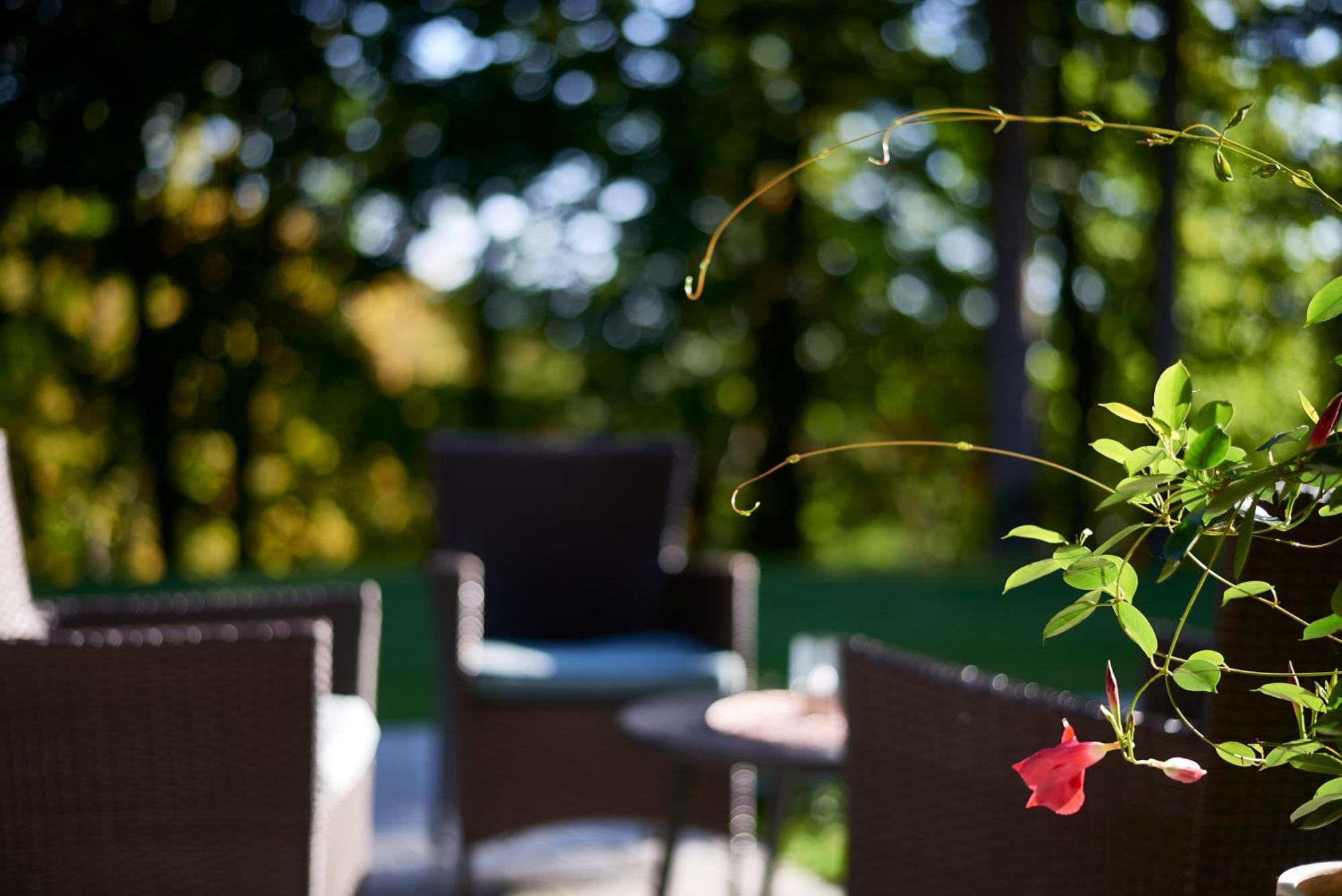 B&B Plitvica Creek Плитвица Село Стая снимка