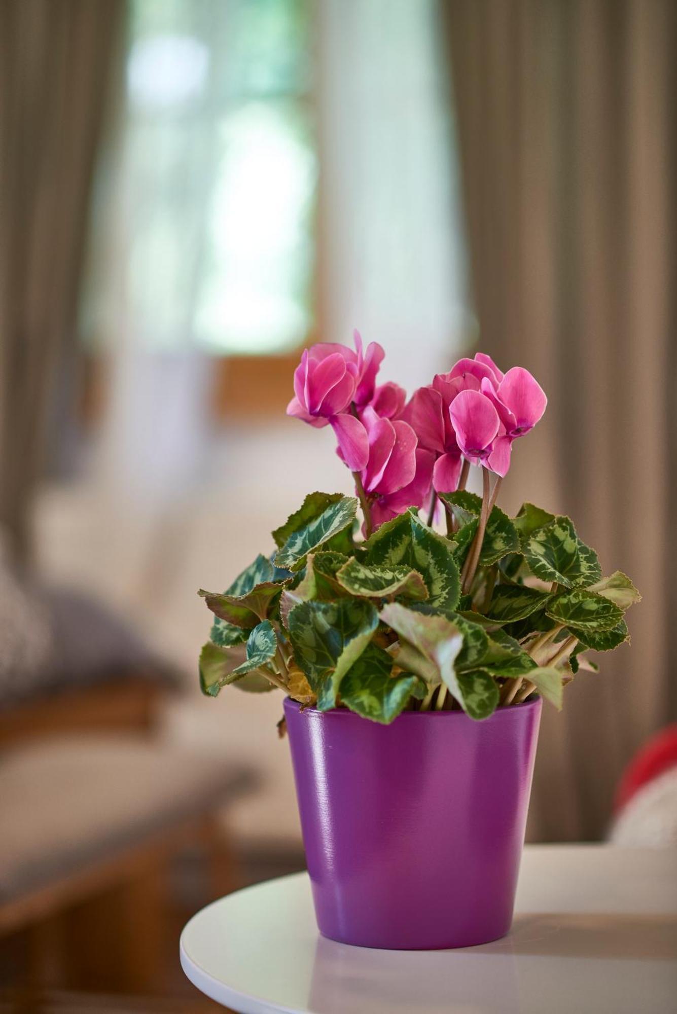 B&B Plitvica Creek Плитвица Село Стая снимка